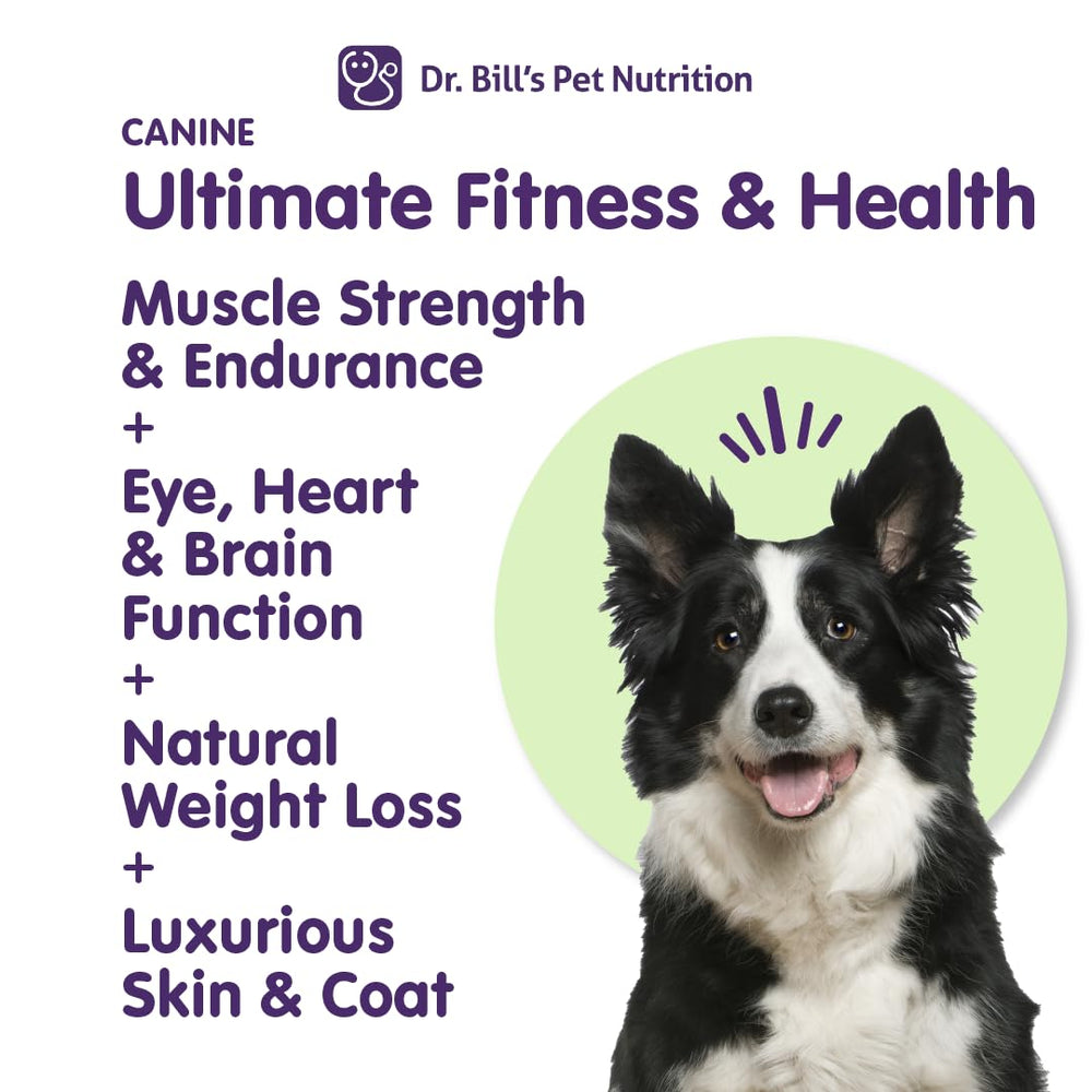 Dr. Bill's Canine Ultimate Fitness boosts dog endurance for active adventures.