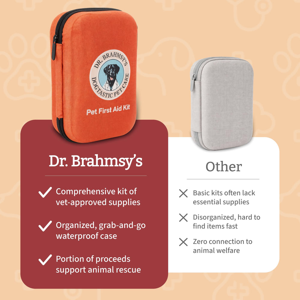 Dr Brahmsy’s digital thermometer for rapid temperature checks