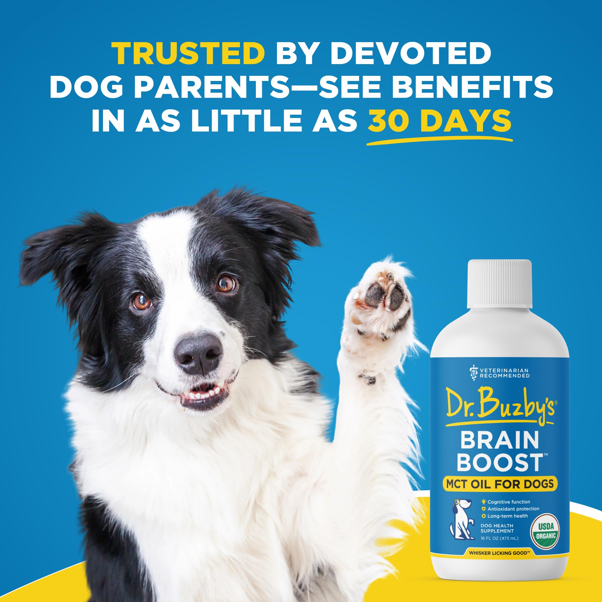 Dr. Buzby's Brain Boost vet-recommendation seal on packaging.