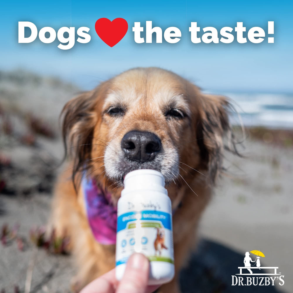Dr. Buzby’s Encore Mobility for senior dogs improves ability to enjoy walks.
