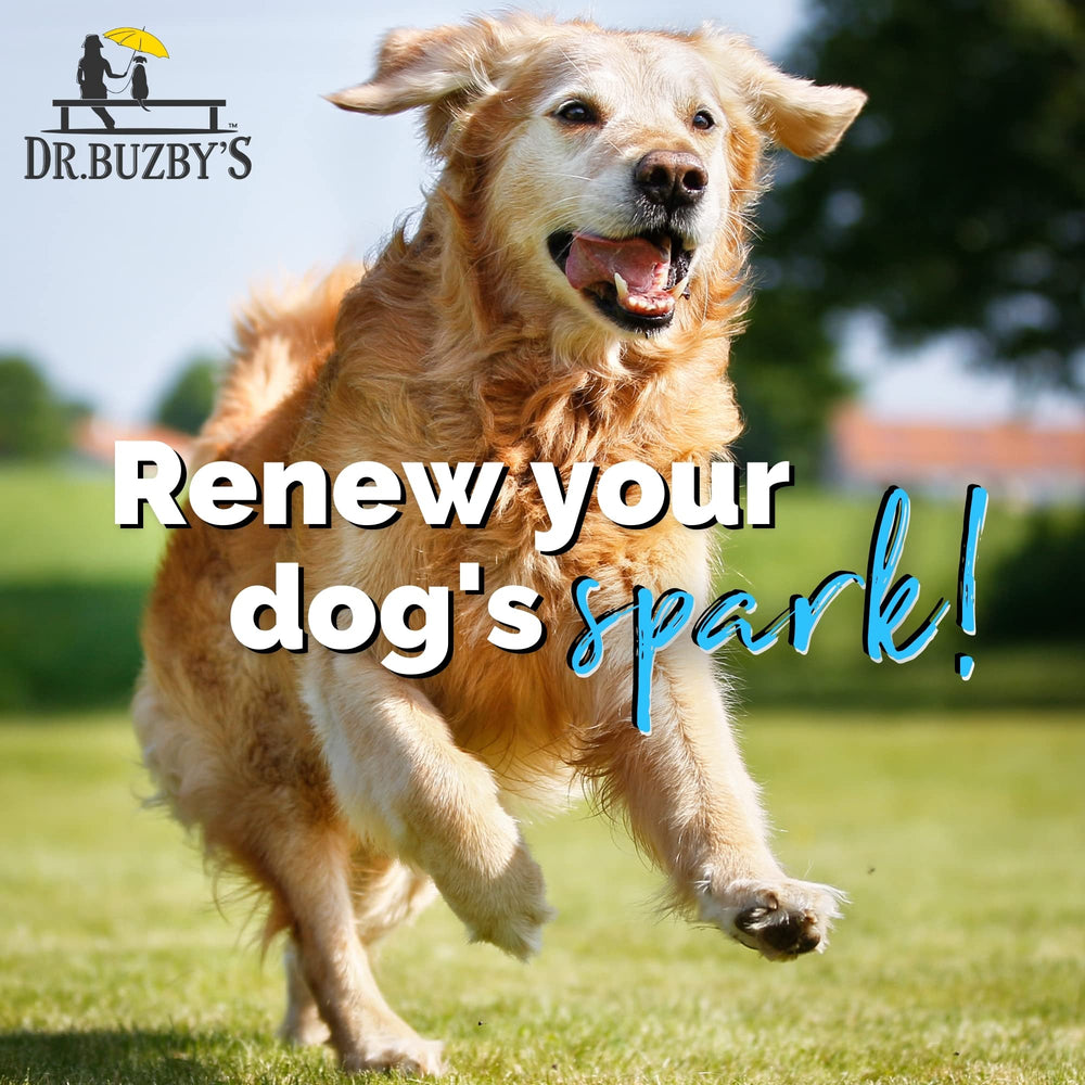 Dr. Buzby’s Encore Mobility natural ingredients support comfortable movement daily.