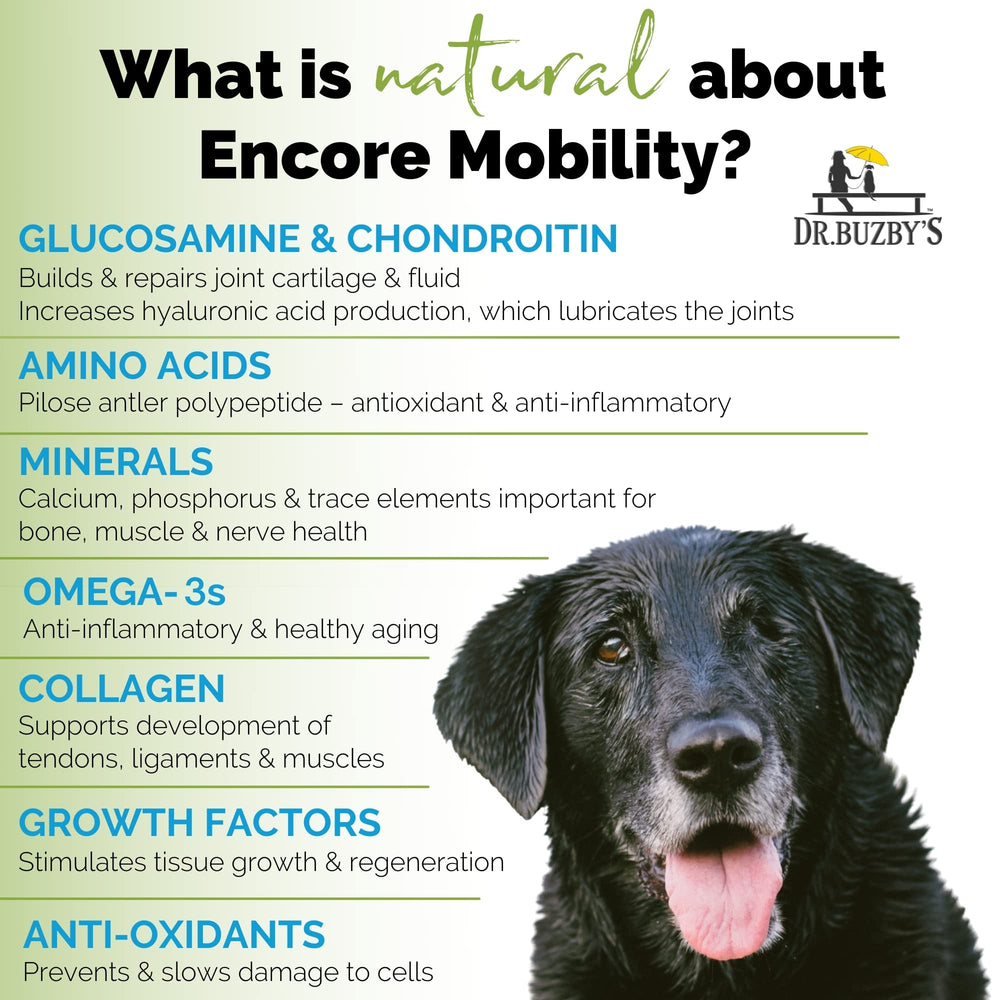 Dr. Buzby’s Encore Mobility 90-count bottle shown for convenient dosing.
