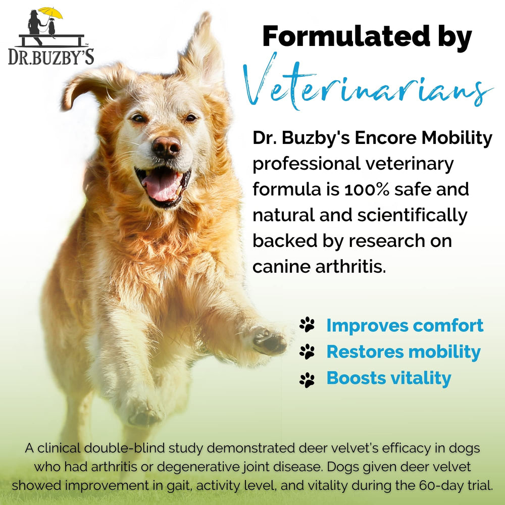 Dr. Buzby’s Encore Mobility soft chew tablets are dog-friendly and tasty.
