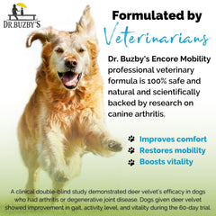 Dr. Buzby’s Encore Mobility soft chew tablets are dog-friendly and tasty.