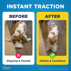 Close-up of ToeGrips being applied to a dog's nails for secure floor grip.