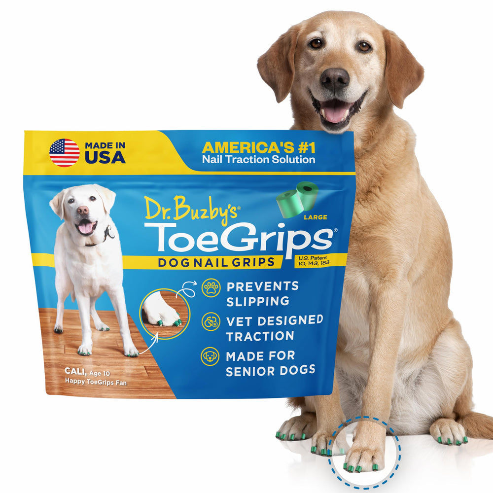 Dr. Buzby\'s ToeGrips on a dog paw showing traction on wood floors