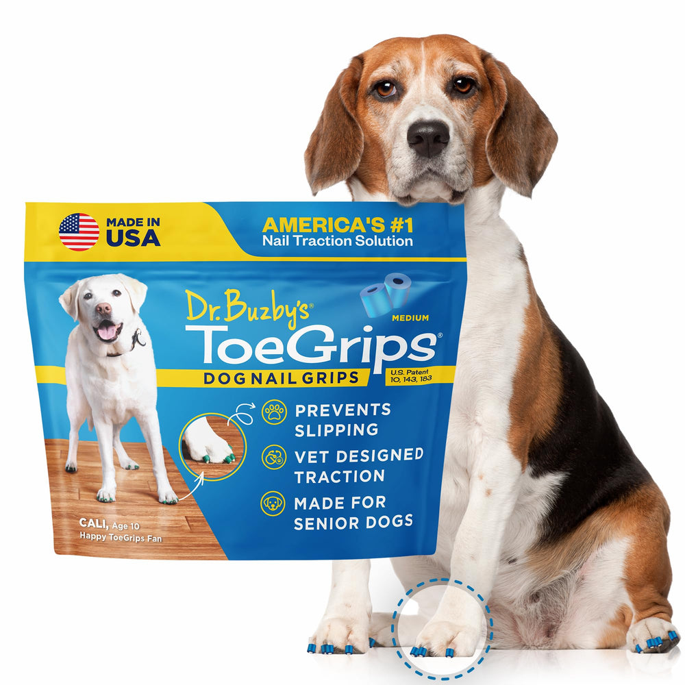 Dr Buzby's ToeGrips on a dog's nail tips provide instant traction on hardwood floors.