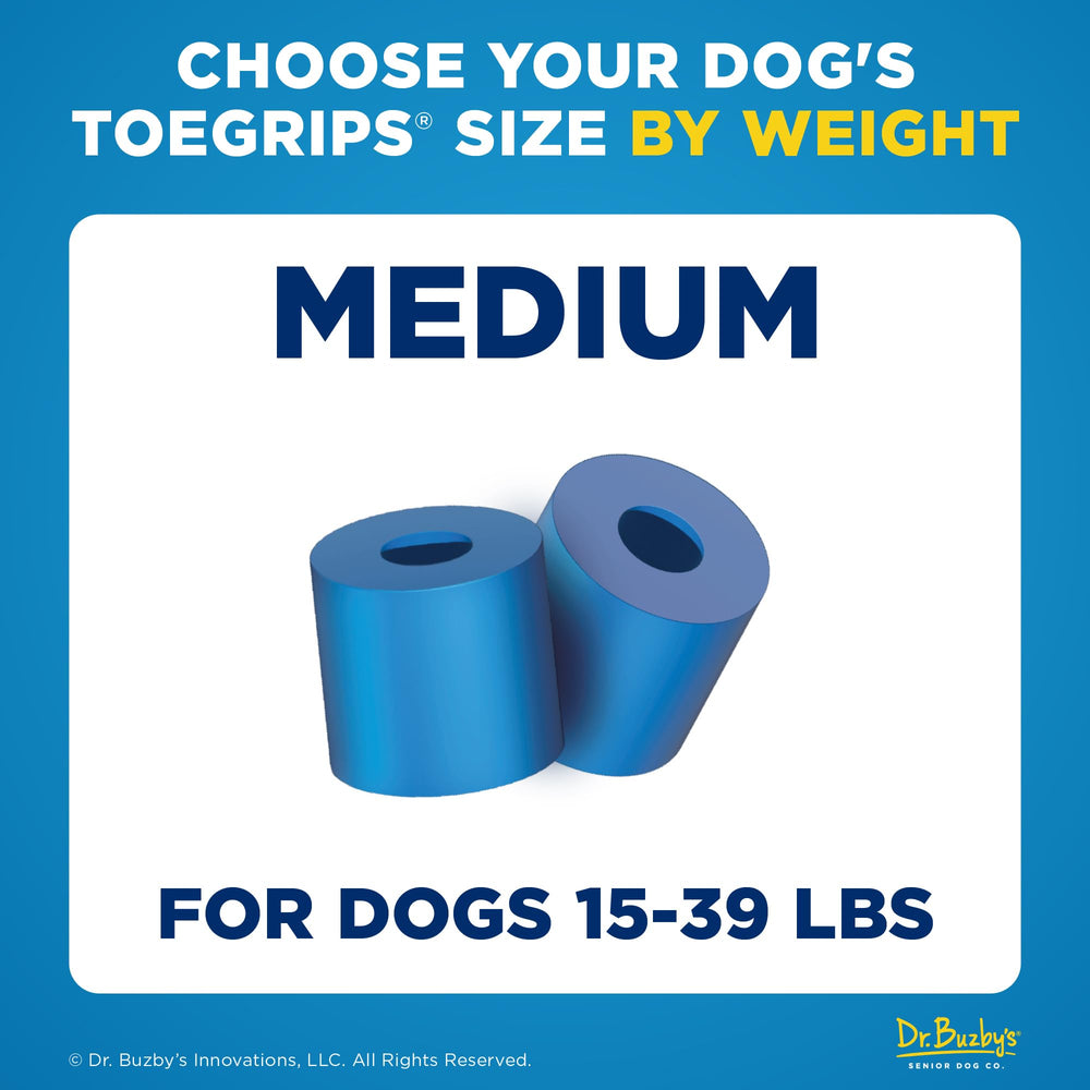 ToeGrips mounted on a dog's nails prevent slipping on slick wooden floors.
