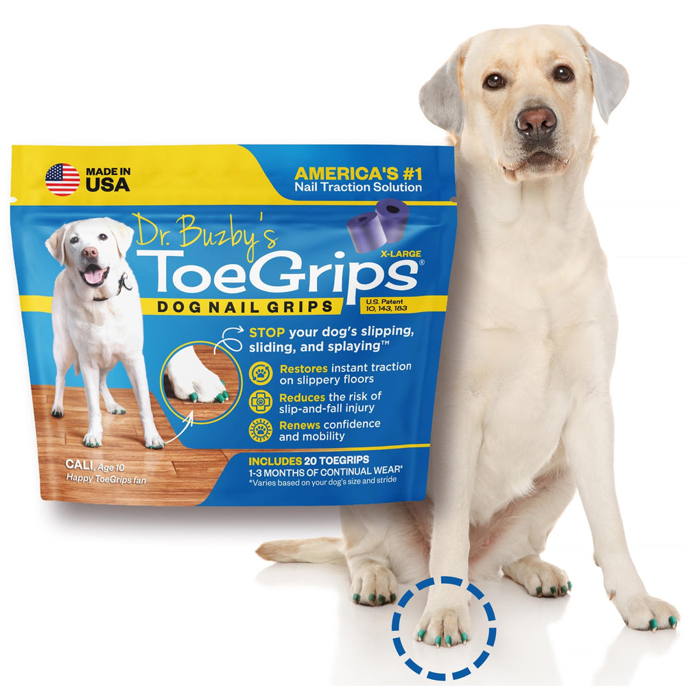 Dog confidently navigating stairs with ToeGrips XLarge