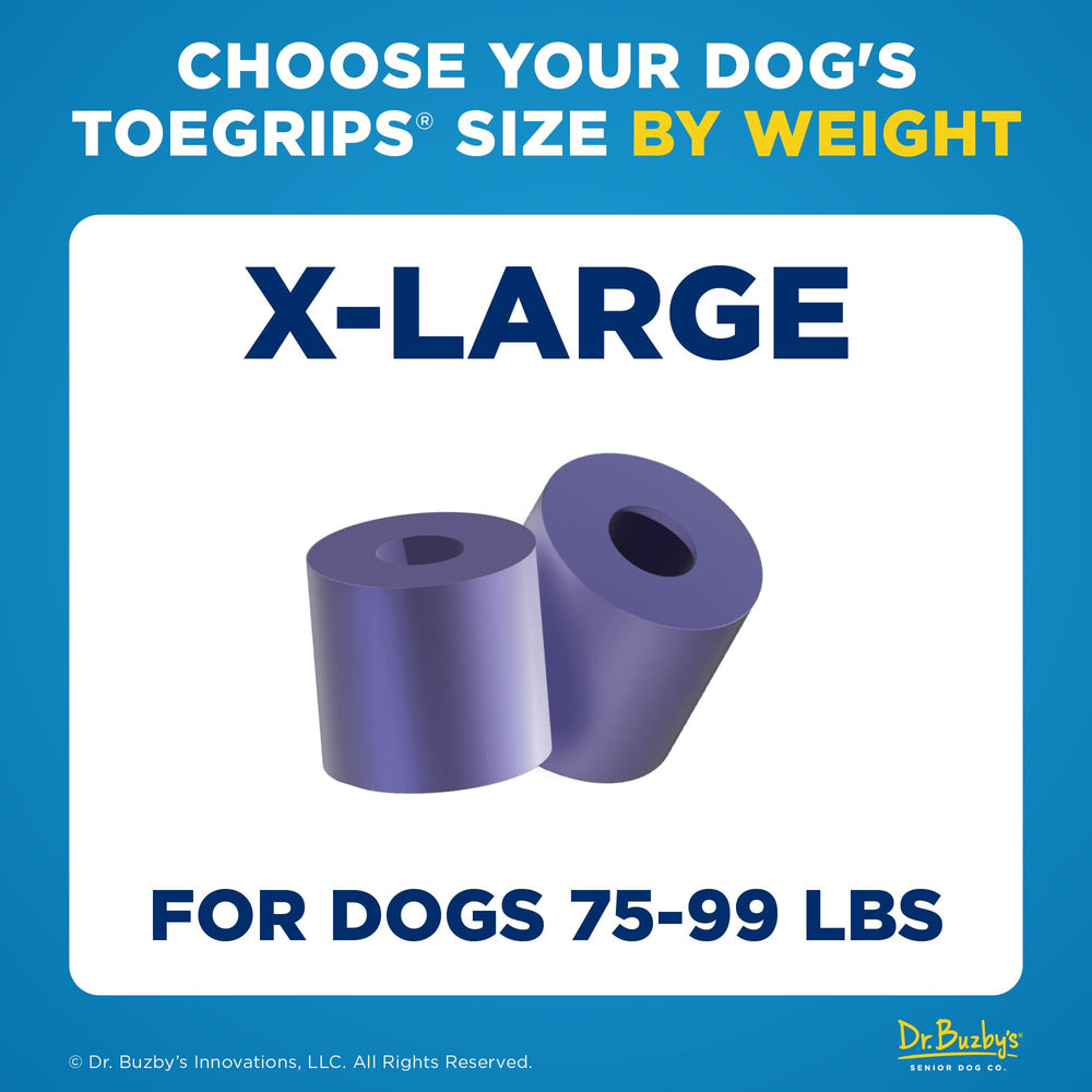 Dog walking on wood floor with ToeGrips XLarge for added stability