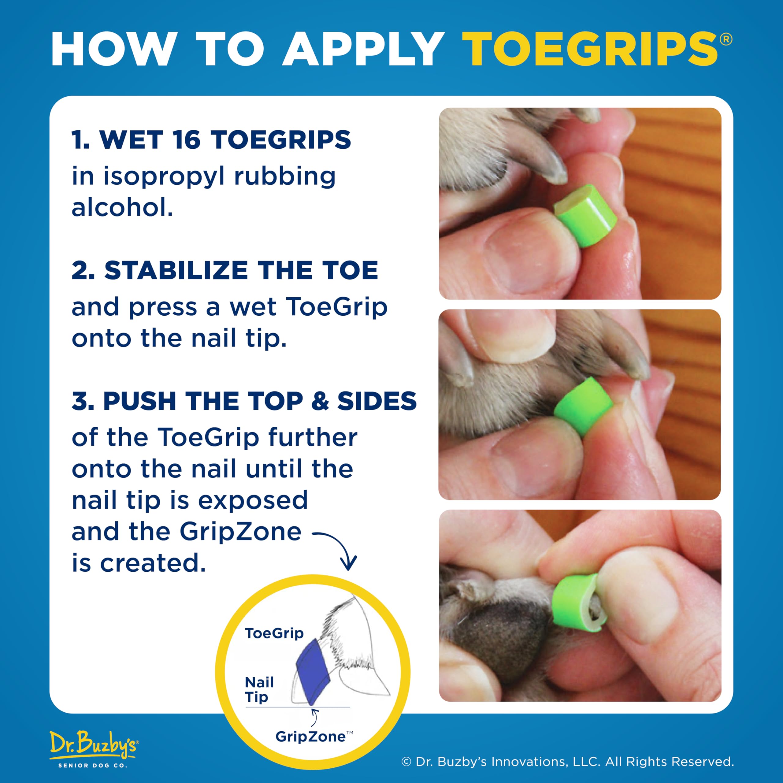 Senior dog walking confidently with Dr Buzby's ToeGrips XLarge