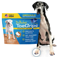 Dr. Buzby's ToeGrips on a dog's nails for traction on wood floors