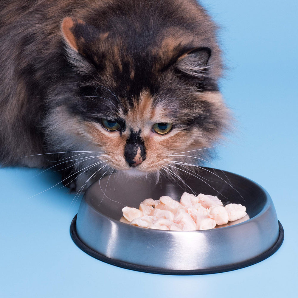 Dr. Catsby non-slip base helps meals stay put on any floor.