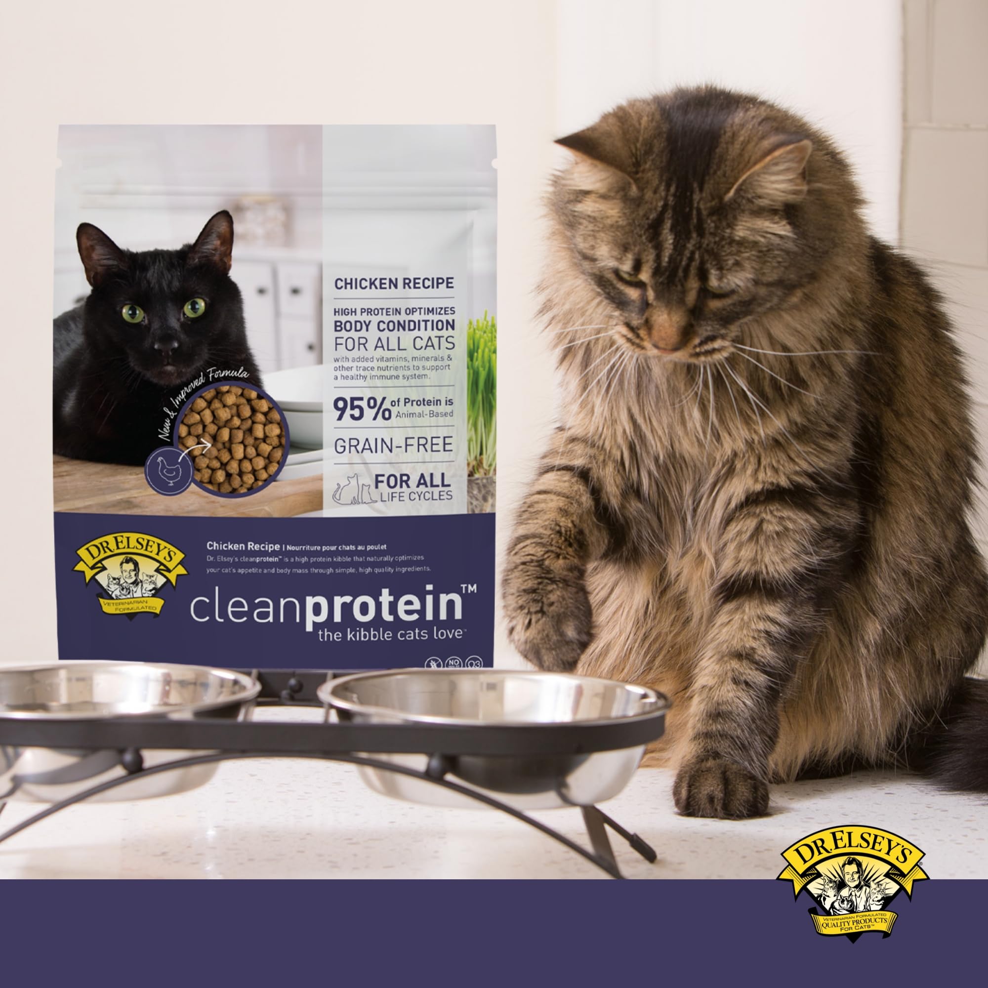 Dr. Elsey's Clean Protein Chicken Homestyle Pouch: premium wet cat food in convenient pouches.