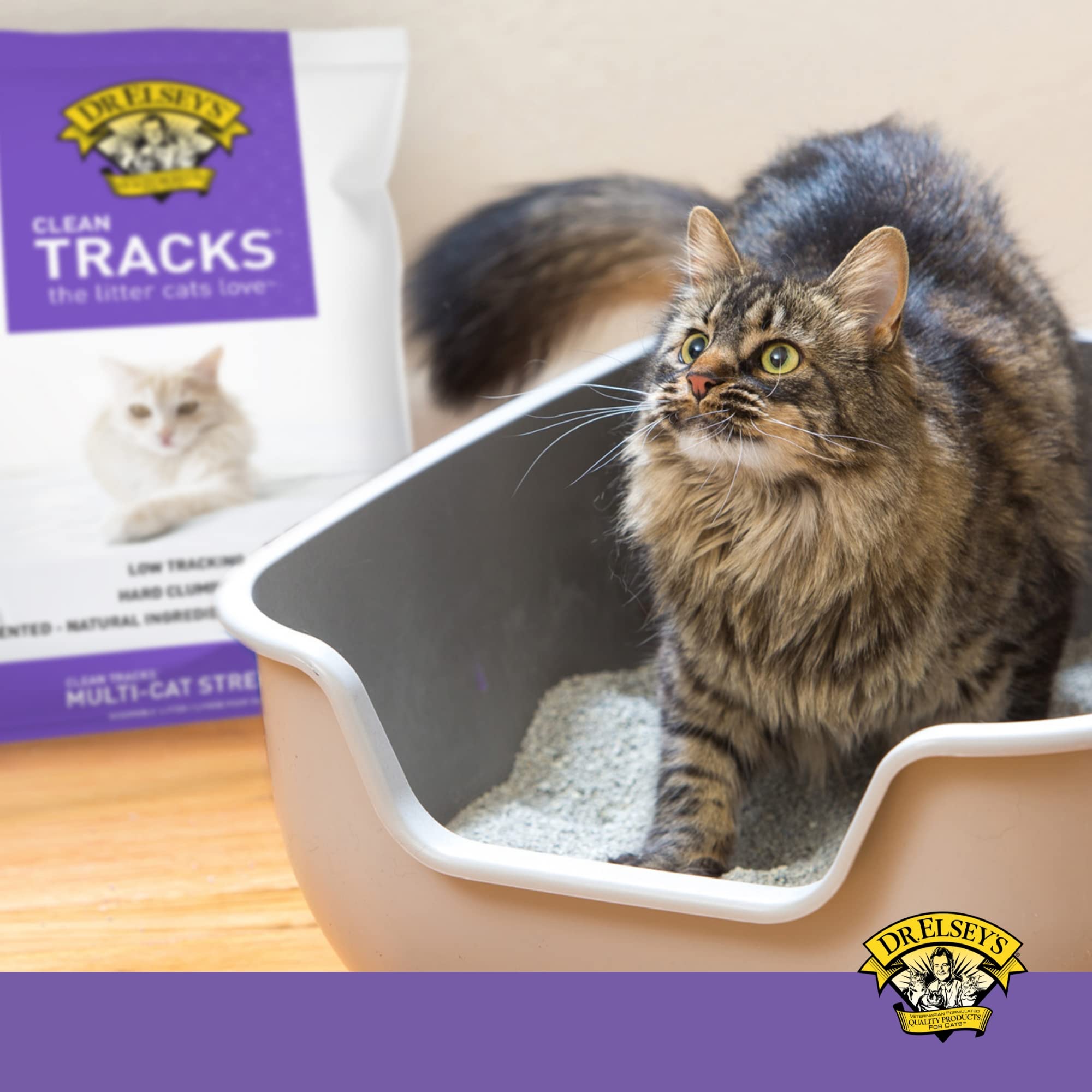 Dr. Elsey's Clean Tracks odor control helps maintain a fresh living space.