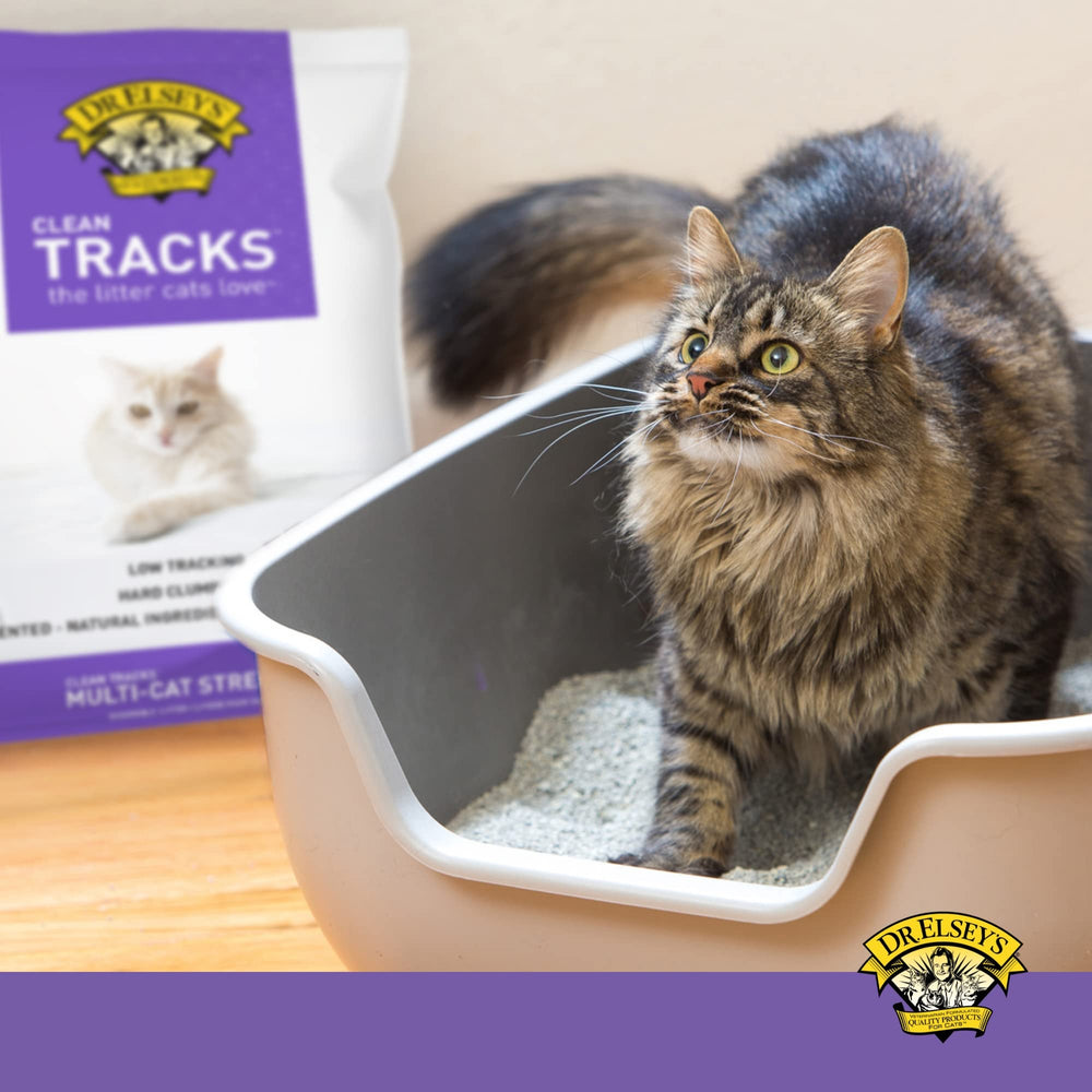 Dr. Elsey's Clean Tracks odor control helps maintain a fresh living space.
