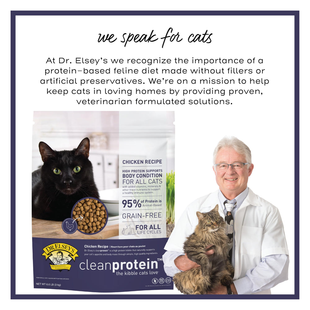 Dr. Elsey's cleanprotein chicken kibble omega-3 emphasis for coat health.