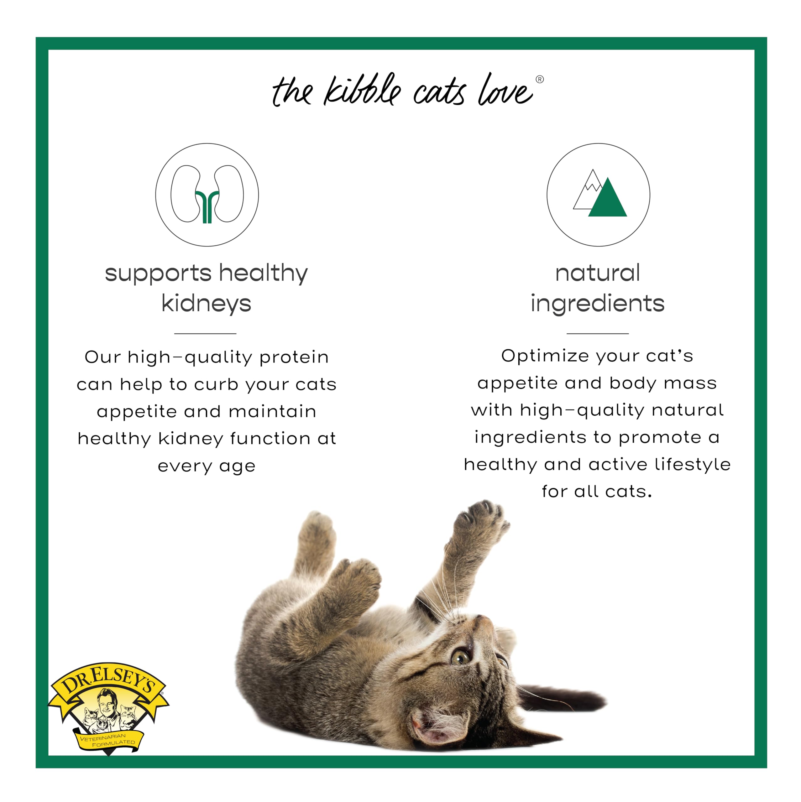 Kibble in bowl suggests balanced feeding and aroma for mealtime