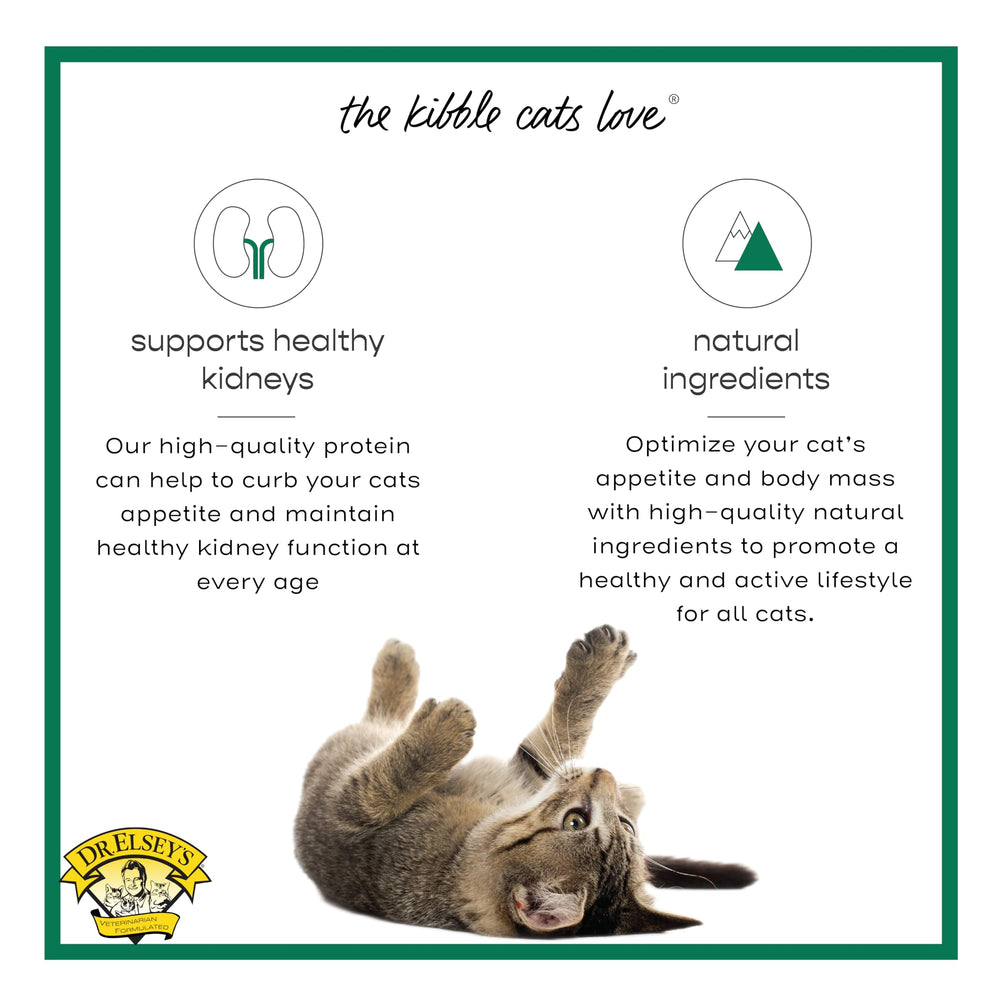 Kibble in bowl suggests balanced feeding and aroma for mealtime