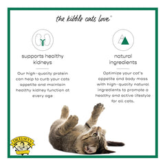 Dr. Elsey's Cleanprotein duck kibble in a feeding bowl, supporting lean muscle.