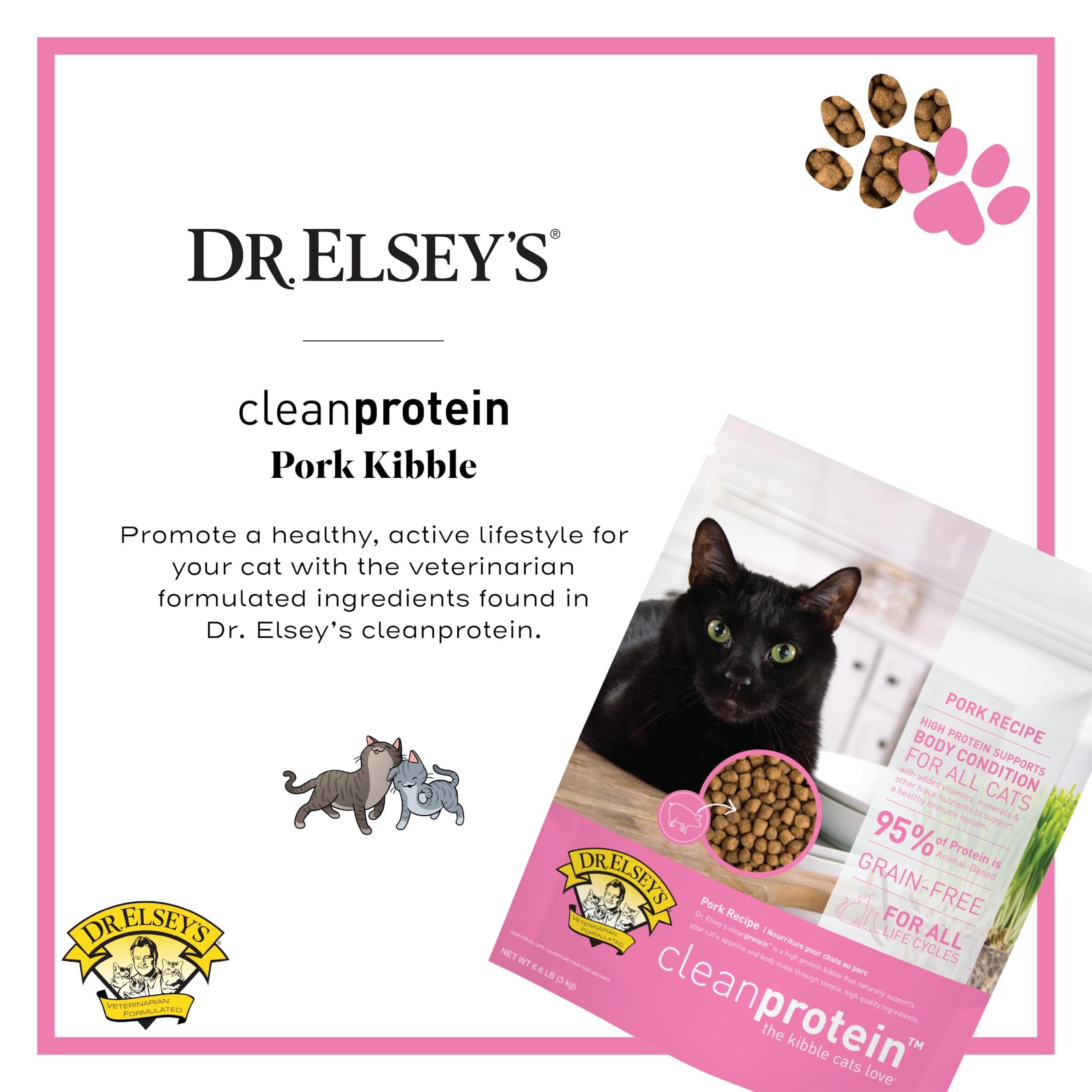 Close-up of Dr. Elsey's cleanprotein pork kibble in a bowl with crisp texture