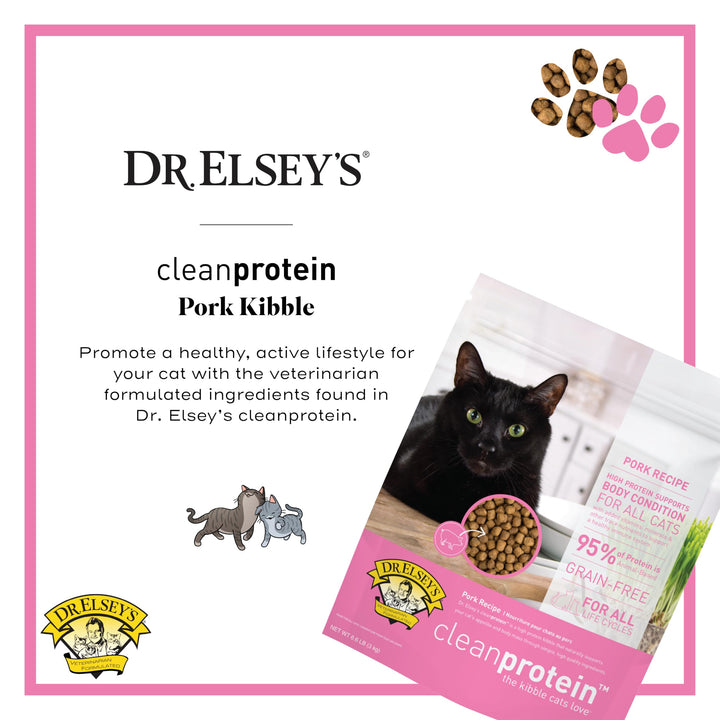 Close-up of Dr. Elsey's cleanprotein pork kibble in a bowl with crisp texture