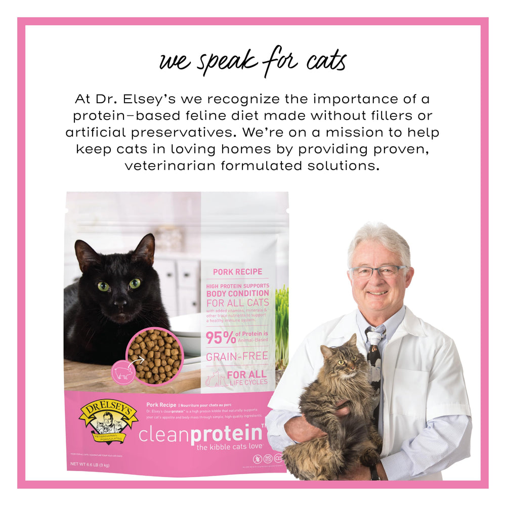 Grain-free texture of Dr. Elsey's cleanprotein pork kibble for weight management