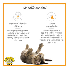 Dr. Elsey's Cleanprotein kibble protein closeup, highlighting high-quality meat