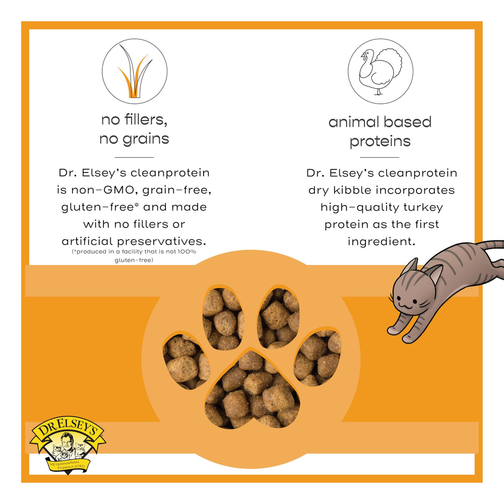 Dr. Elsey's Cleanprotein turkey kibble pour into bowl shows texture