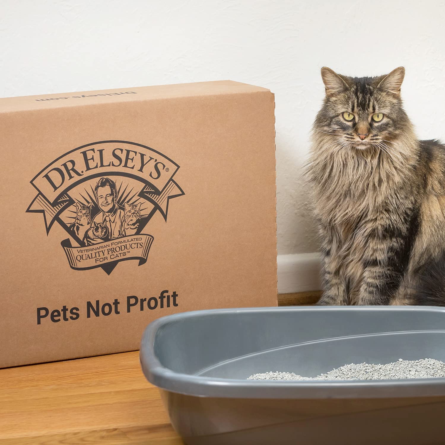 Multi-cat household scene using Dr. Elsey's Precious Cat Classic litter in shared box.