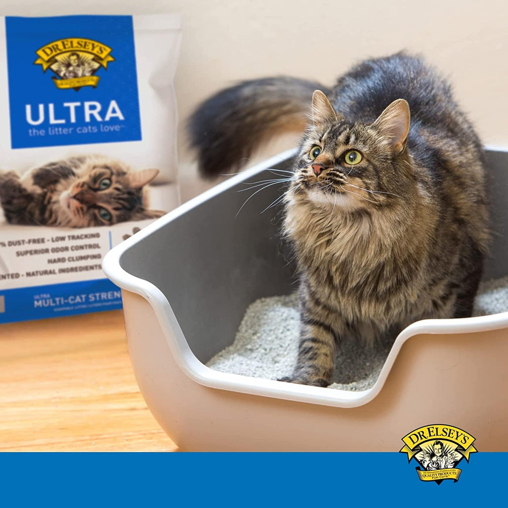 Dr. Elsey's Ultra odor control helps keep rooms fresh.