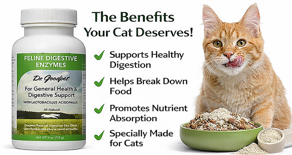 Dr. Goodpet daily digestive powder sprinkled on food eases mealtime mixing.