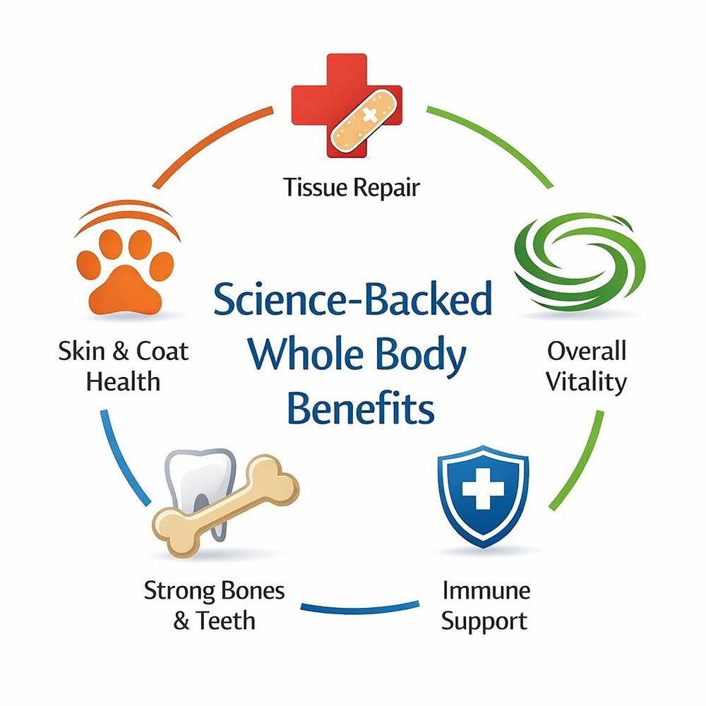 Dr. Goodpet Digestive Enzymes kibble-mix prep scene suggesting better absorption.