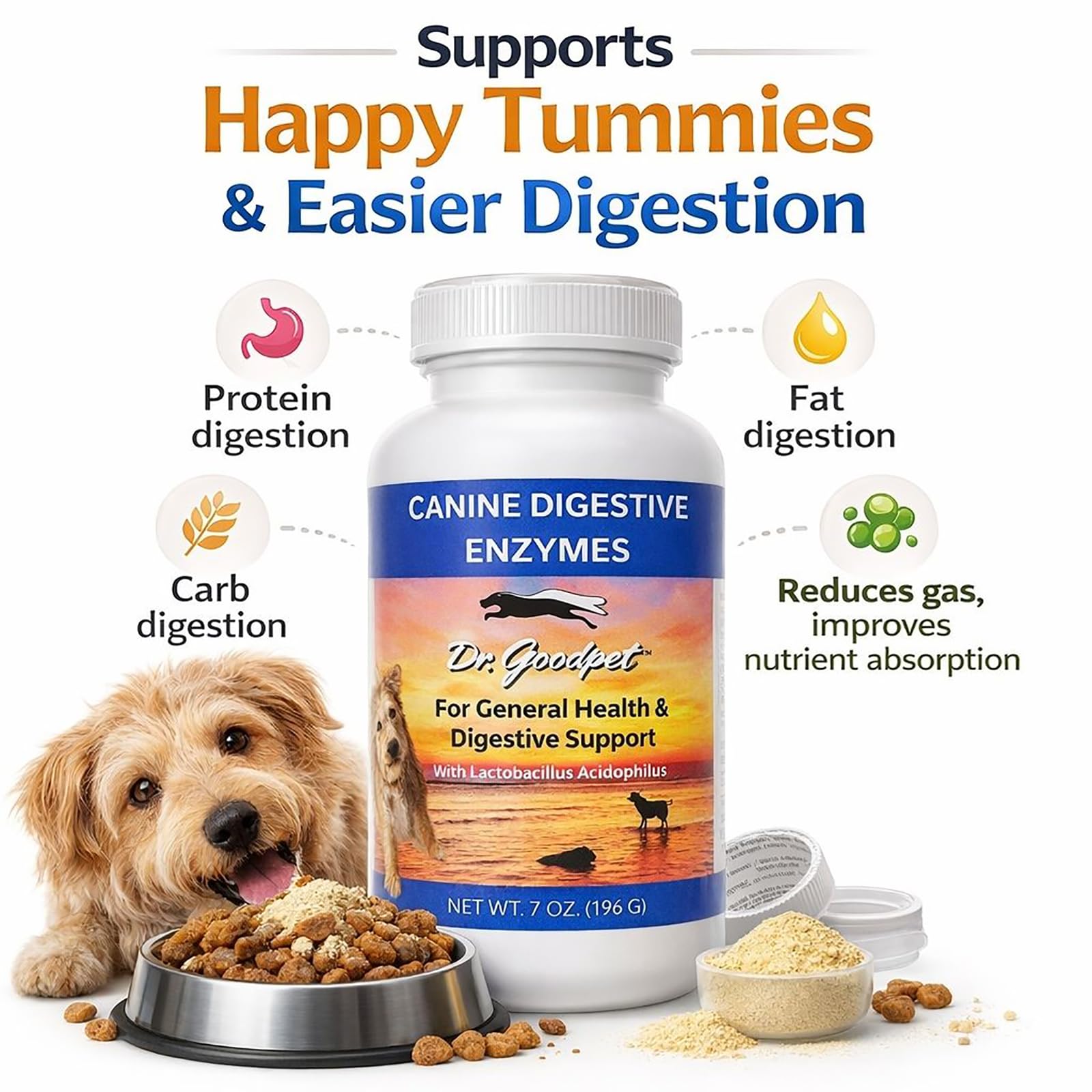 Dr. Goodpet Digestive Enzymes powder dispensing image for daily dog dosing.