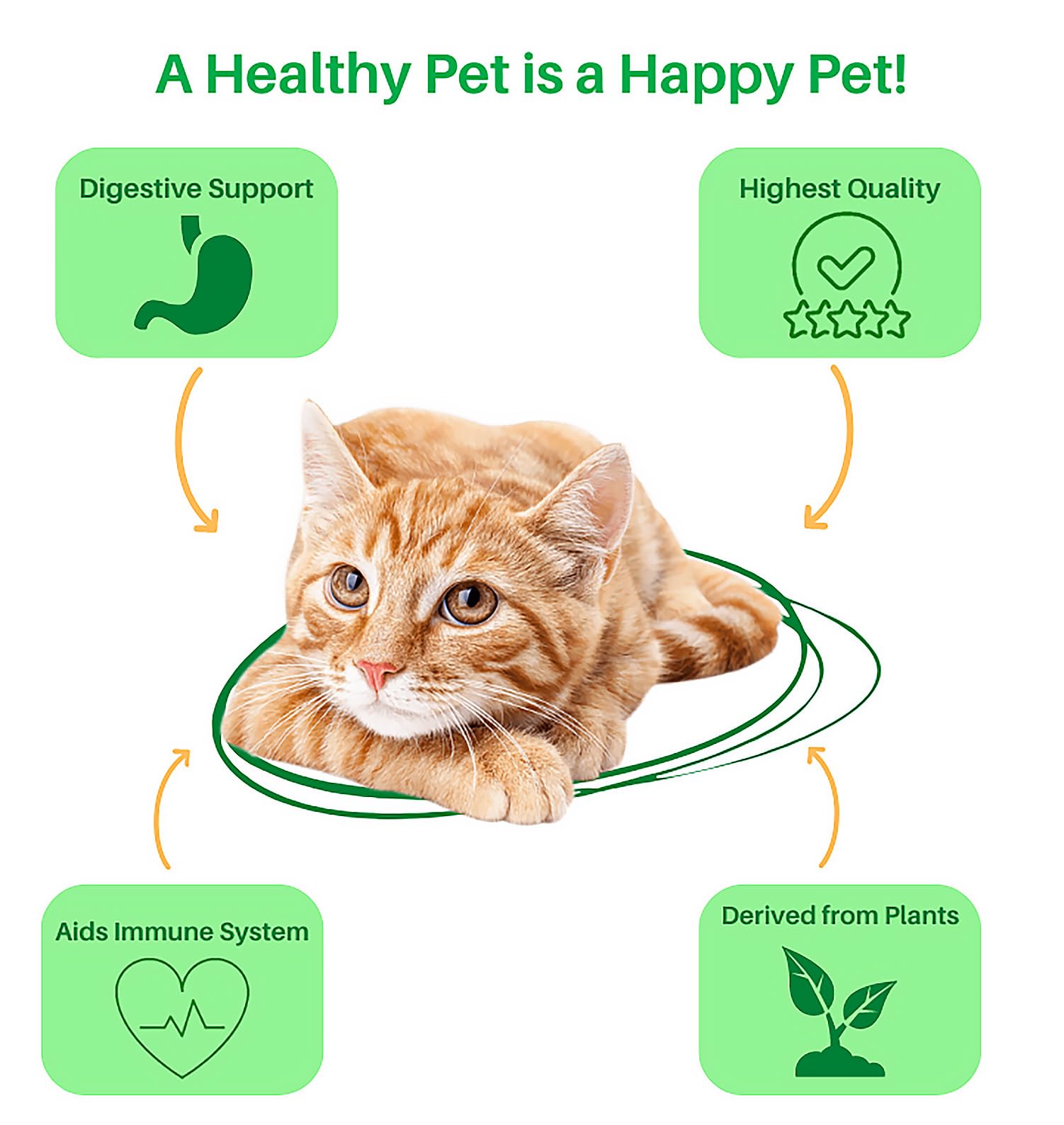 Dr. Goodpet probiotic-prebiotic blend tub helps maintain balanced gut health and stool quality.