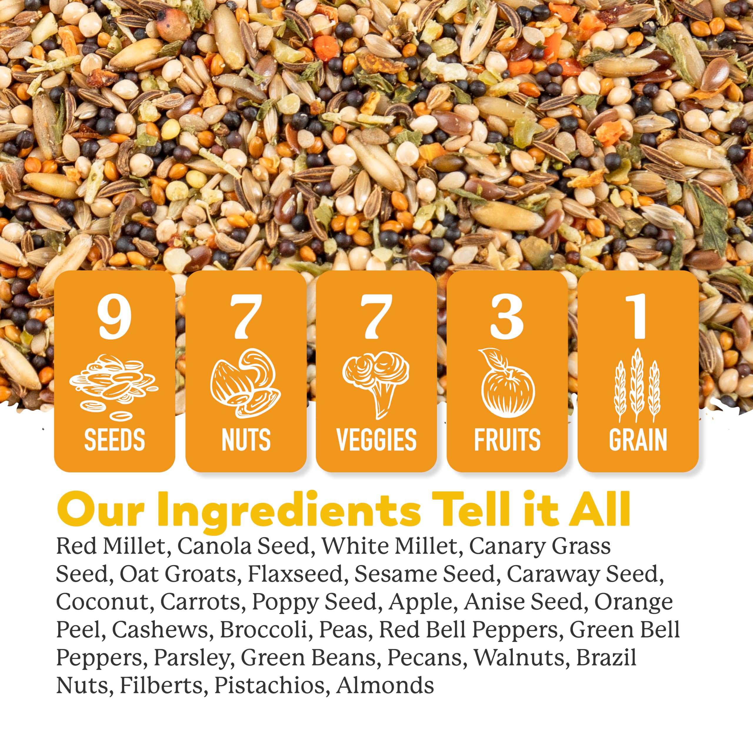 Dr. Harvey's blend provides diverse seeds, nuts, fruits, and vegetables for enrichment.