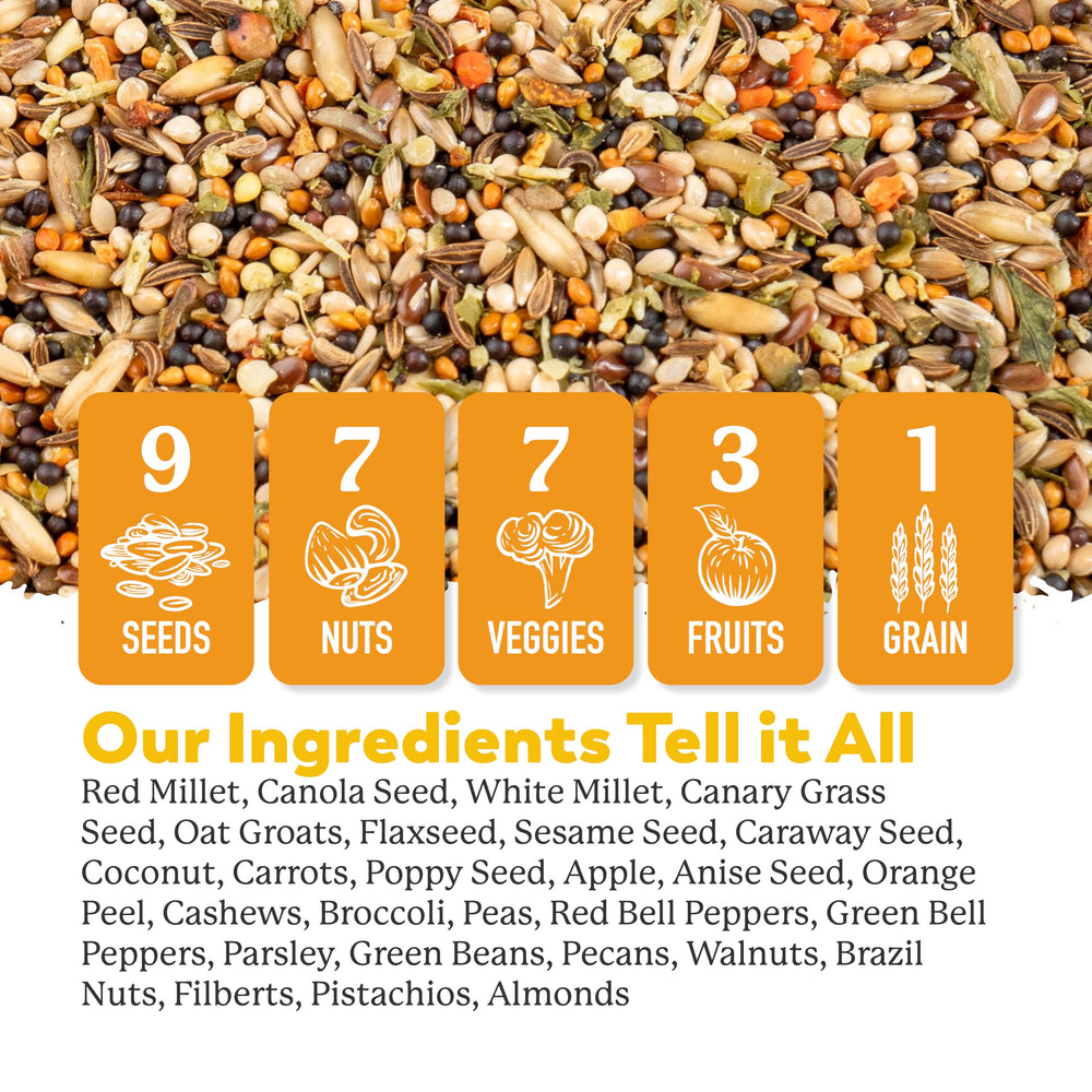 Dr. Harvey's blend provides diverse seeds, nuts, fruits, and vegetables for enrichment.