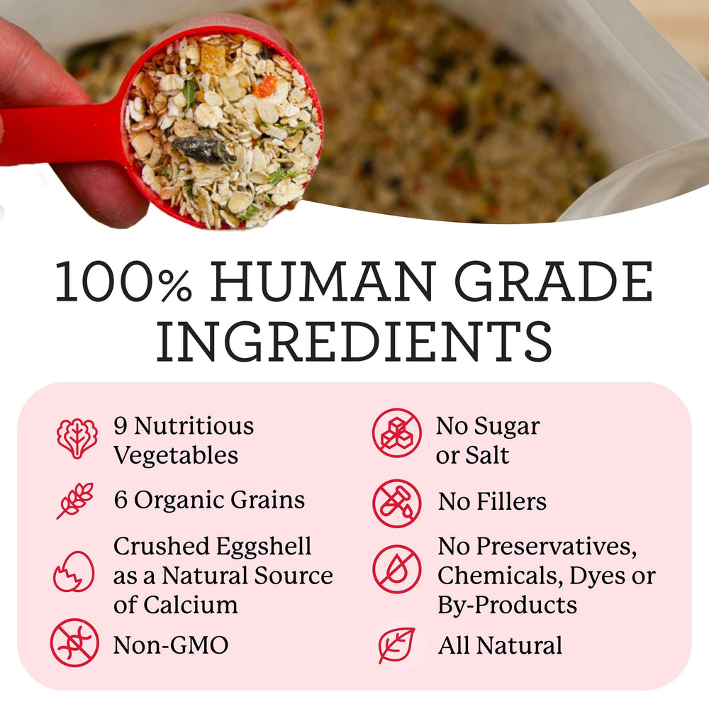 Dr. Harvey's Canine Health Miracle uses organic grains to support energy and digestion.