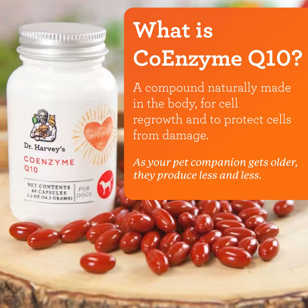 Dr. Harvey's Coenzyme Q10 bottle back view with ingredients and details.
