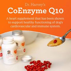 Close-up of Dr. Harvey's CoQ10 tablets for pet vitality support.
