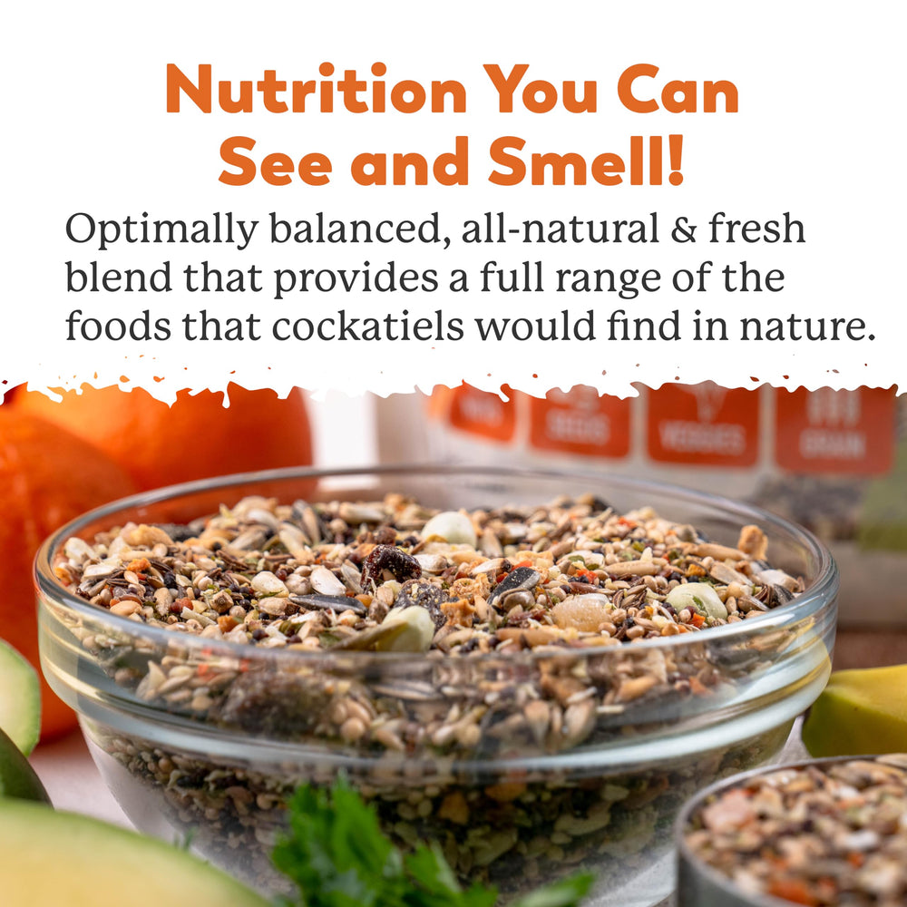 Dr. Harvey's Colossal Cockatiel Blend ingredients display a varied, bird-friendly mix