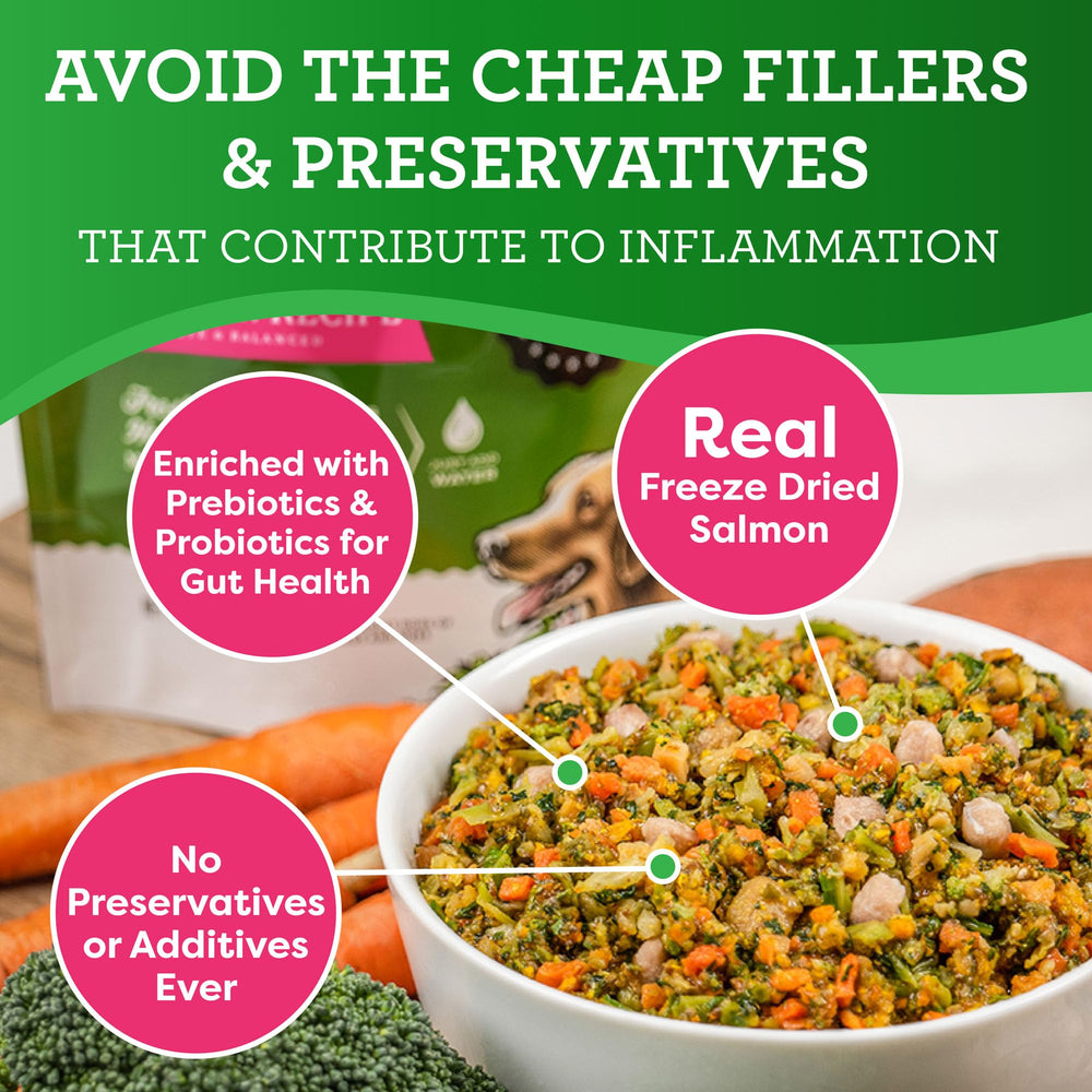 Dr. Harvey's dehydrated superfoods mix with vibrant textures for wholesome meals.