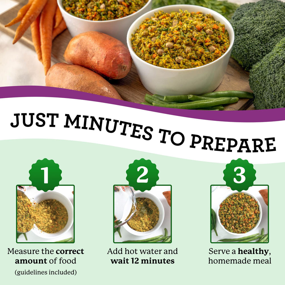 Dr. Harvey's dehydrated-superfoods-visual conveys a nutrient-dense mix.