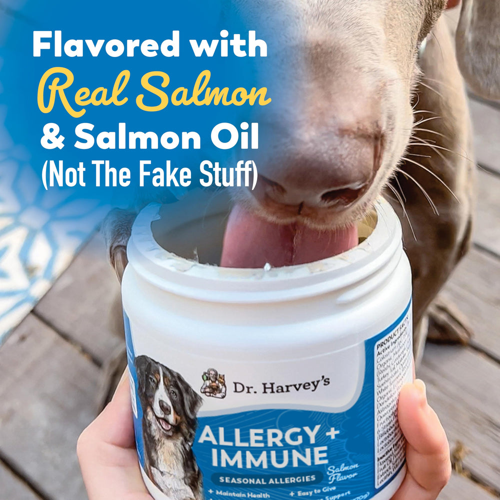 Dr. Harvey's Functional Mushroom Blend chews support overall wellness.