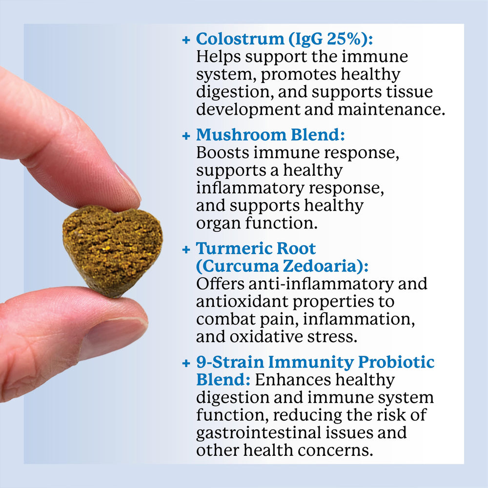 Dr. Harvey's Probiotics support digestion in dogs.