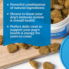 Dr. Harvey's Salmon flavored soft chews entice dogs during treats.