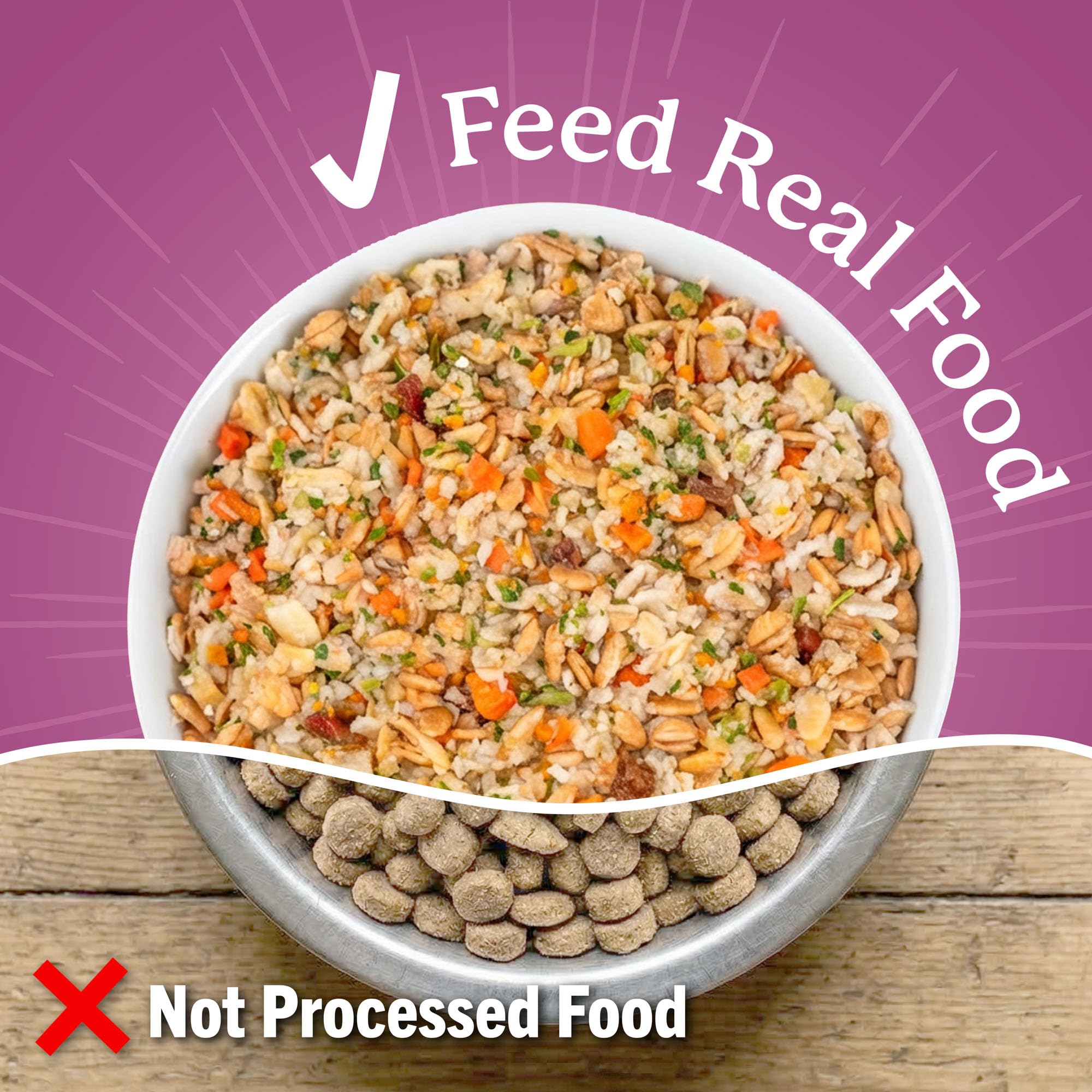 Dr. Harvey's Every Dog Health probiotics icon highlighting gut-friendly ingredients.