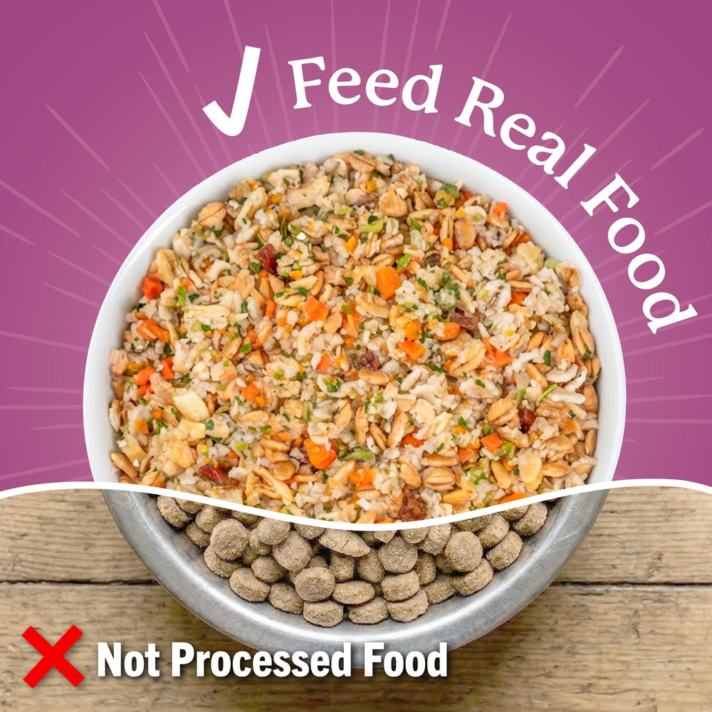 Dr. Harvey's Every Dog Health probiotics icon highlighting gut-friendly ingredients.