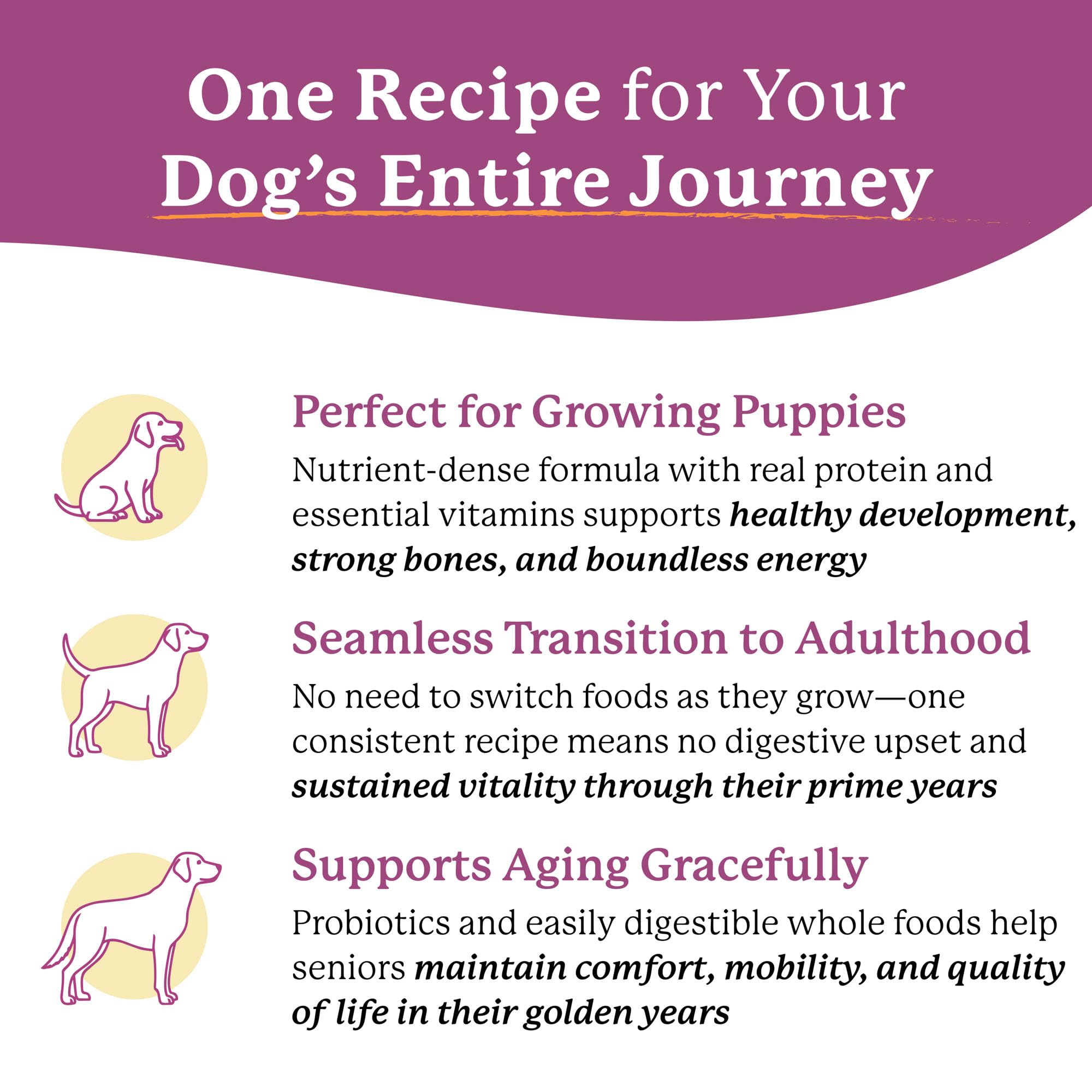 Dr. Harvey's Every Dog Health vegetables and fruits visible for wholesome meals.