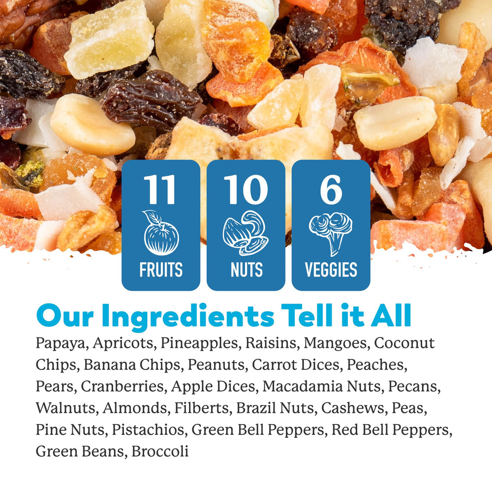 Close-up of fruits, nuts, and vegetables in Dr. Harvey's blend for varied diet.